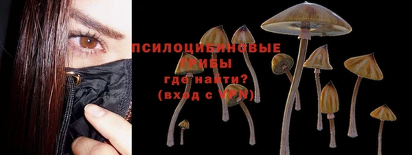 соль ск Бородино