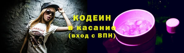 соль ск Бородино