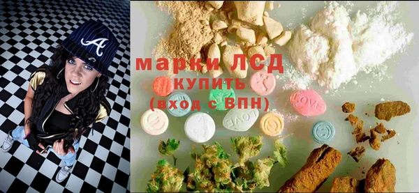 Альфа ПВП Верея