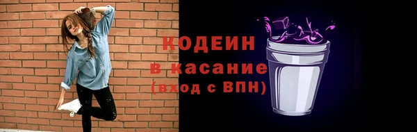 соль ск Бородино